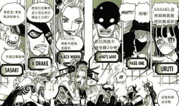 海贼王免费漫画,探寻梦想海洋的冒险之旅